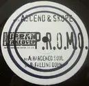 12inch Vinyl Single - Asend & Skope - Hardened Soul / Falling Down