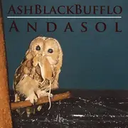 CD - Ash Black Bufflo - Andasol - Digipak