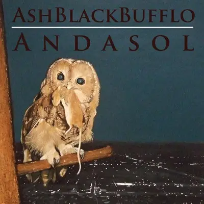 Ash Black Bufflo - Andasol