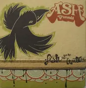 CD - Ash Grunwald - Fish Out Of Water