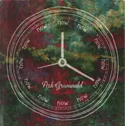 CD - Ash Grunwald - Now