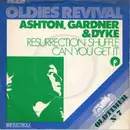 7'' - Ashton, Gardner & Dyke - The Resurrection Shuffle / Can You Get It