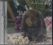 Ashtray Boy - There's Your Heart