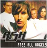 Double LP - Ash - Free All Angels