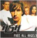 Double LP - Ash - Free All Angels