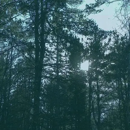 Ashbringer - Vacant