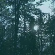 Ashbringer - Vacant