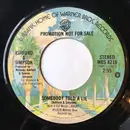 7inch Vinyl Single - Ashford & Simpson - Somebody Told A Lie