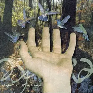 Aspera - Sugared & Feathered