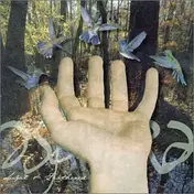 Aspera - Sugared & Feathered