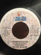 Assassin & Wayne Wonder - Caribbean Queen