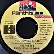 Assassin & Freddie McGregor - Youth Well Cold
