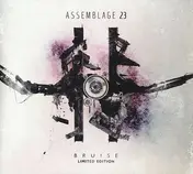 Assemblage 23 - Bruise