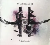 Assemblage 23 - Bruise