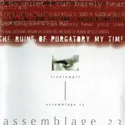 Assemblage 23 - Contempt