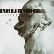Assemblage 23