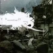 Assemblage 23 - Ground