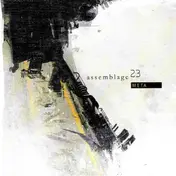 Assemblage 23 - Meta