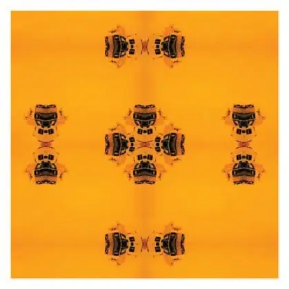 Asterisk / Jenny Piccolo - Dogma III: The Morphology Of Heavenly Poultry / Jenny Piccolo