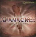 12inch Vinyl Single - Apanachee - In Aeternum