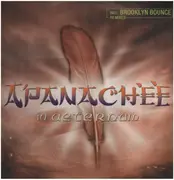 12inch Vinyl Single - Apanachee - In Aeternum