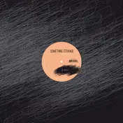 Apendics Shuffle - Something Strange