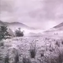 CD - Apes, Pigs And Spacemen - Snapshot