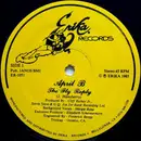 12inch Vinyl Single - April B - The Fly Reply