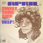 April - Sweet Song Bird