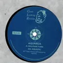 12inch Vinyl Single - Aquarius - Dolphin Tune / Aquatic