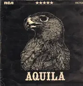 Aquila