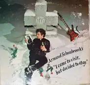 Armand Schaubroeck - I Came To Visit;  But Decided To Stay