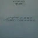 12'' - Armand Van Helden - Full Moon