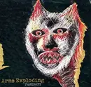 CD - Arms Exploding - Ruminari - Digisleeve
