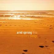 Arnd Sprung Trio - Imaginary Songs