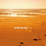 Arnd Sprung Trio , Maurice Peter , Maxim Zettel , Arnd Sprung - Imaginary Songs