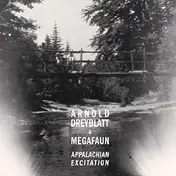Arnold - Appalachian Excitation