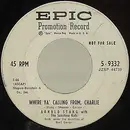 7inch Vinyl Single - Arnold Stang - Where Ya' Calling From Charlie / Ivy Will Cling