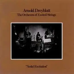 Arnold Dreyblatt - Nodal Excitation