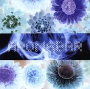 Aromabar - 1