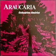 Araucaria - Golondrina América