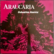 Araucaria - Golondrina América