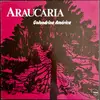 LP - Araucaria - Golondrina América