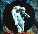 Double CD - Arcade Fire - Reflektor - Digisleeve