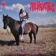 Archagathus - Canadian Horse