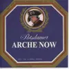 7'' - Arche Now - Sex, Rex & Wenig Drogen