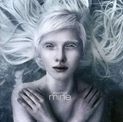 Architect - Mine