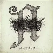 ARCHITECTS - Daybreaker