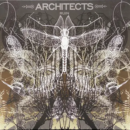 Architects - Ruin
