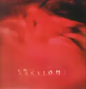 12inch Vinyl Single - Arclight - Holographic